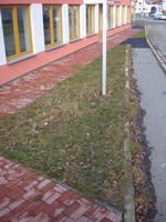 Přesto hlavně zde měla vzniknout bohatá, uvítací zeleň.