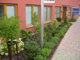 A nutno uznat, že už v prvním roce to vypadalo dobře.