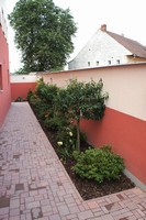 Tak jsme je ozelenili stálezelenými rostlinami, aby bylo celý rok na co koukat.