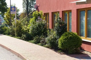 Rostliny jsou bohaté a zdravé.