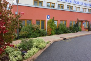 Musím uznat, že po 6 letech máme z této akce radost a že radost dělá i všem z Centra lékařské genetiky. S minimem péče jsou rostliny vitální a krásné, tak ještě aspoň 60 zdravých let!