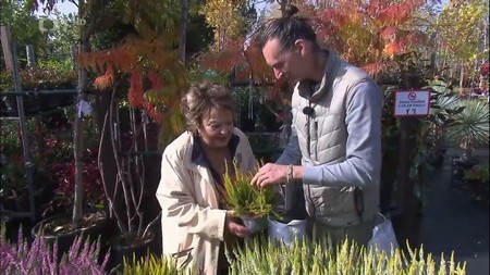 Hobby naší doby - Česká televize - Vřesy