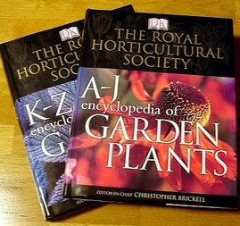 Zimní testy nových rostlin