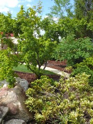 článek z časopisu Dům a zahrada