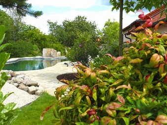 článek z časopisu Dům a zahrada