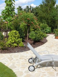 článek z časopisu Dům a zahrada