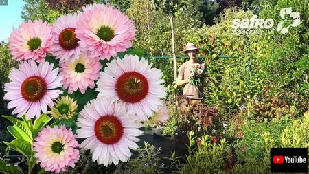 Návštěva Zahradnictví SAFRO®