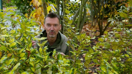 Polopatě - Česká televize - 4. reportáž Hlošina Ebbingeova