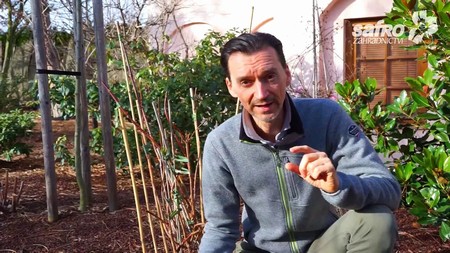 Zimní čištění trvalek