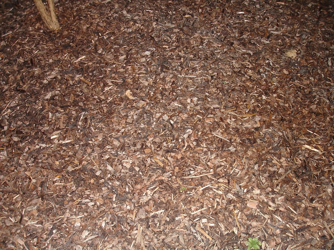 kůra mulčovací Soběslav.jpg