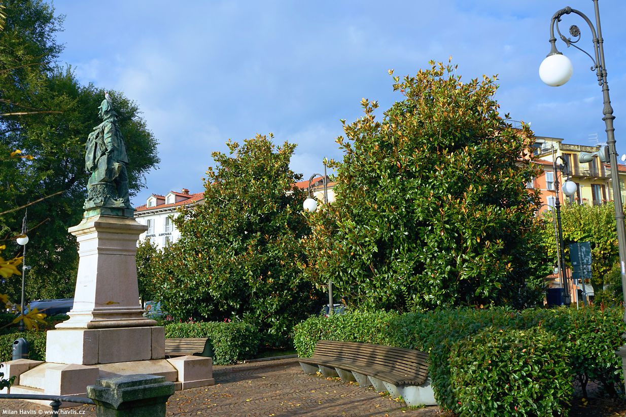 magnolia grandiflora Twenty Four Below 2.jpg