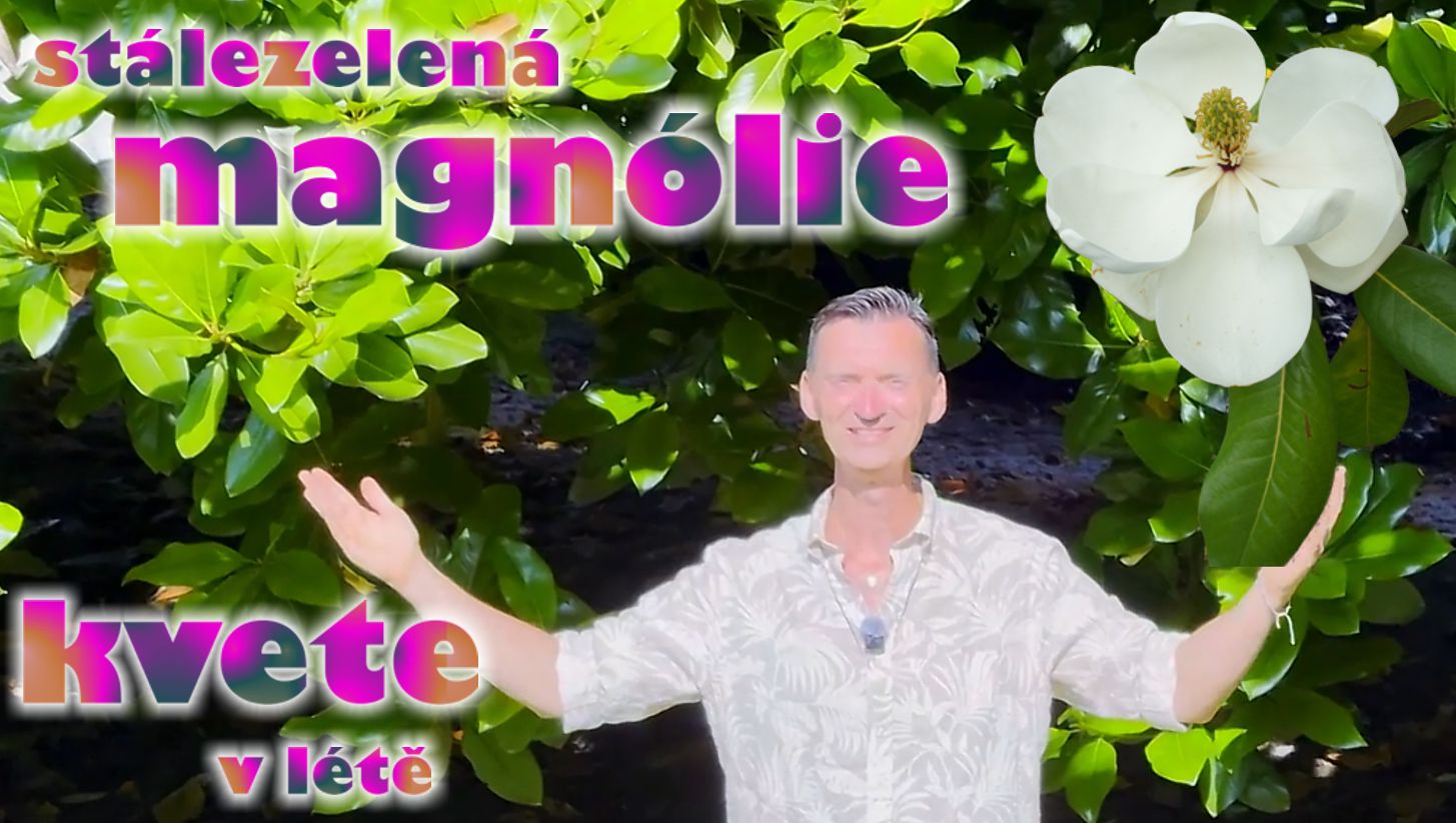 Nové video - to NEJDŮLEŽITĚJŠÍ! 😊