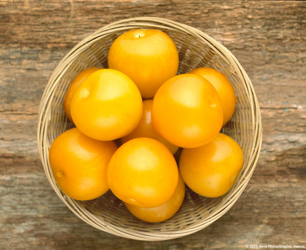 prunus salicina Shiro