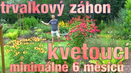 Jak udělat trvalkový záhon kvetoucí 6 měsíců 🌼🏵️