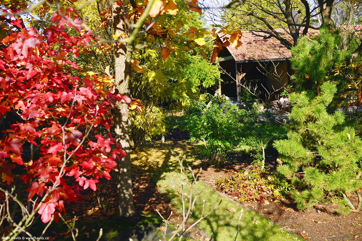 Hybaj ven! 😊 Je tam krásně 🍁 A kochat se – povinně! 🌅