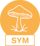 Symbivit (arbuskulární)